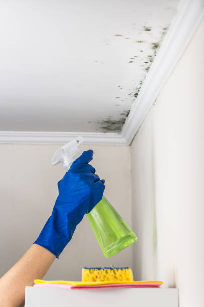 Best Crawl Space Mold Remediation in Yonkers, NY